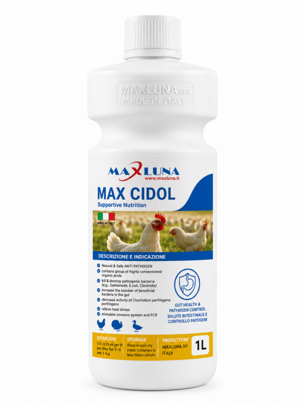 Max cidol MAXCIDOL