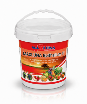 MAXLUNA Epithelium 11