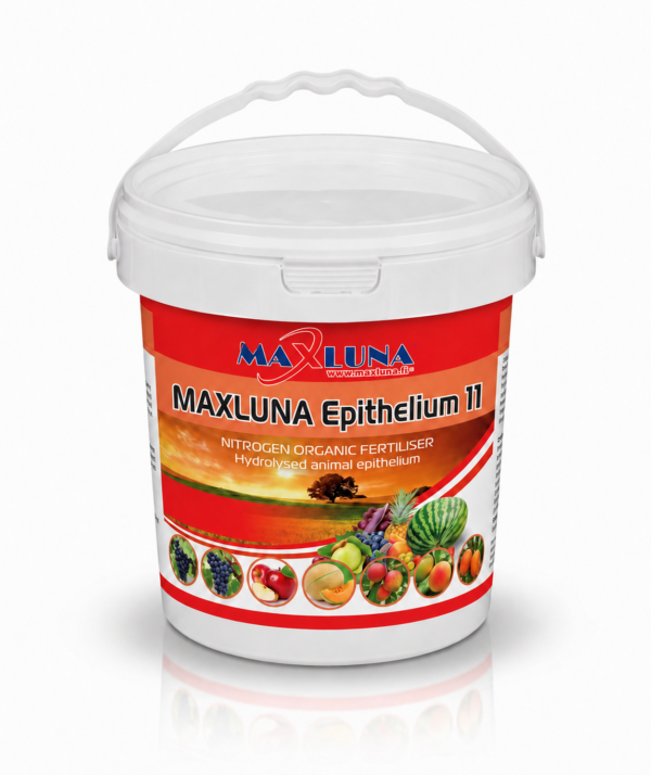 Maxluna epithelium 11 MAXLUNA Epithelium 11