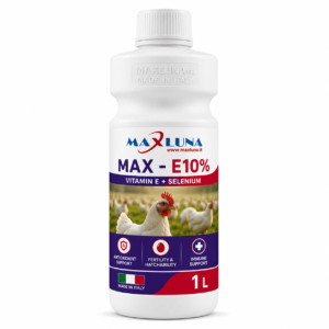 MAX - E10%