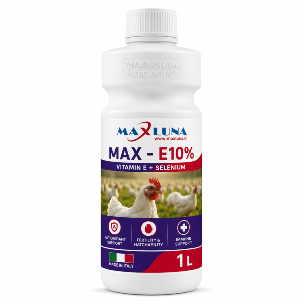 max E10% MAX - E10%