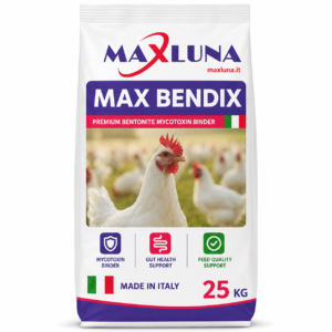 max bendix MAX BENDIX
