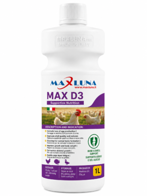 max d3 MAX - D3