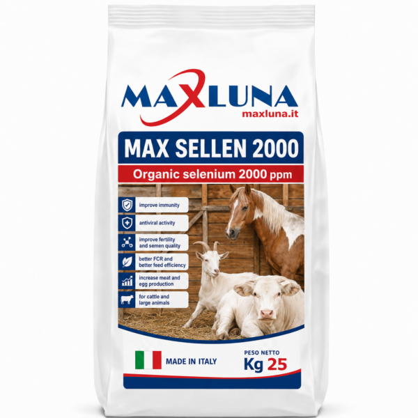 MAX SELLEN 2000