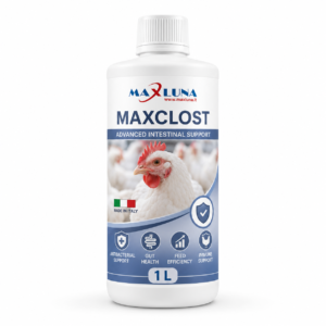 MAXCLOST