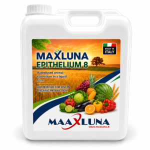 maxluna epithelium 8 MAXLUNA Epithelium 8