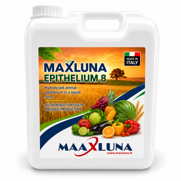 maxluna epithelium 8 MAXLUNA Epithelium 8