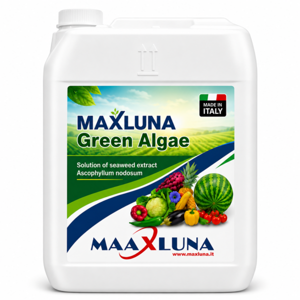 maxluna green algae MAXLUNA Green Algae