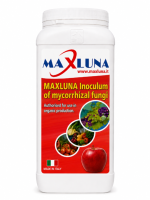 maxluna inoculum of mycorrhizal fungi MAXLUNA Inoculum of Mycorrhizal Fungi