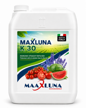 MAXLUNA K 30