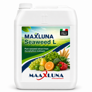 MAXLUNA Seaweed L