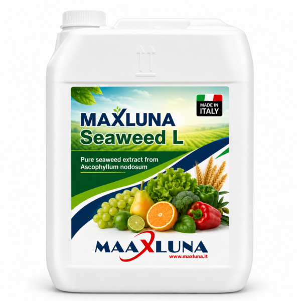maxluna seaweed l MAXLUNA Seaweed L