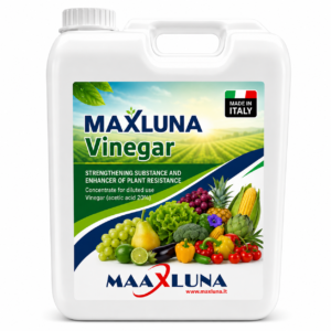maxluna vinegar MAXLUNA Vinegar