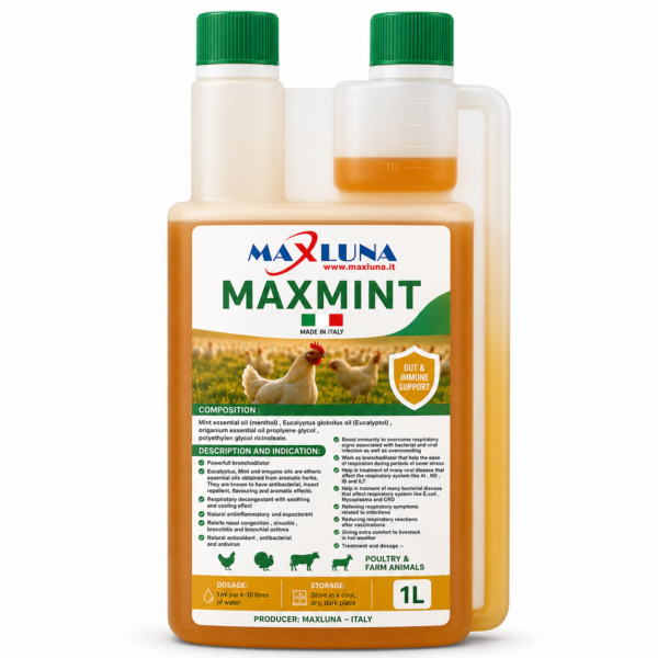 maxmint MAXMINT