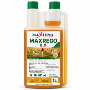 MAXREGO