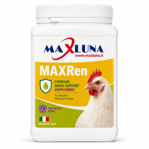 MAXREN